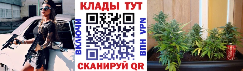 Купить Камышин МЕТАДОН КОКАИН МЕФ ГАШ кракен tor Псилоцибиновые грибы