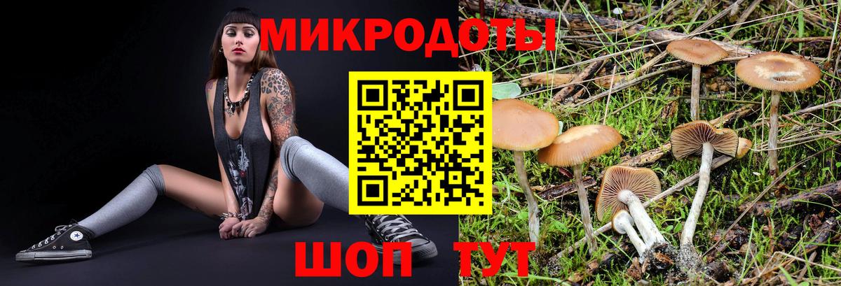 Псилоцибиновые грибы GOLDEN TEACHER Камышин