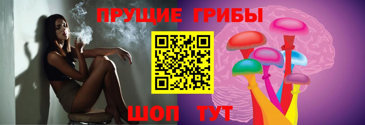Галлюциногенные грибы GOLDEN TEACHER  Вход с VPN  Камышин  Галлюциногенные грибы ЛСД 